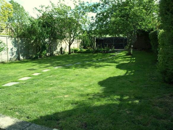 Photo 5