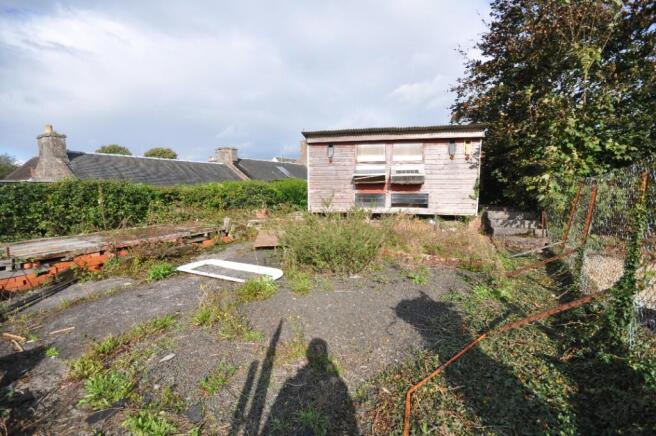 Back Garden