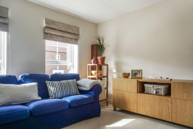 Living Room/Bedroom