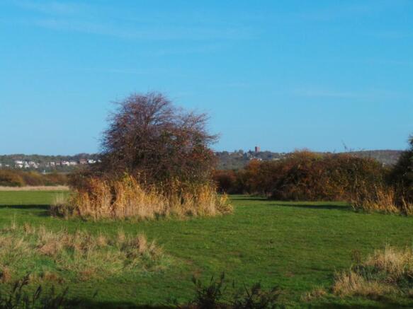 Adjacent Fields