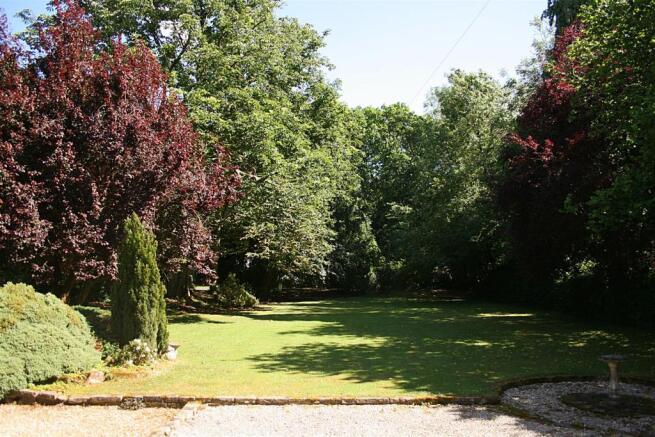 garden5.jpg