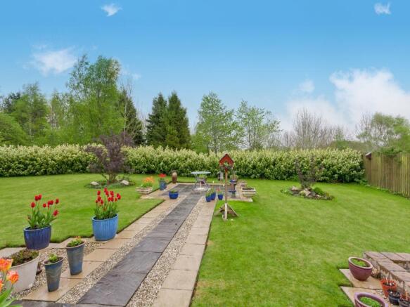 garden 2.jpg