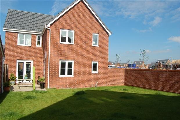 Rear Garden (2)