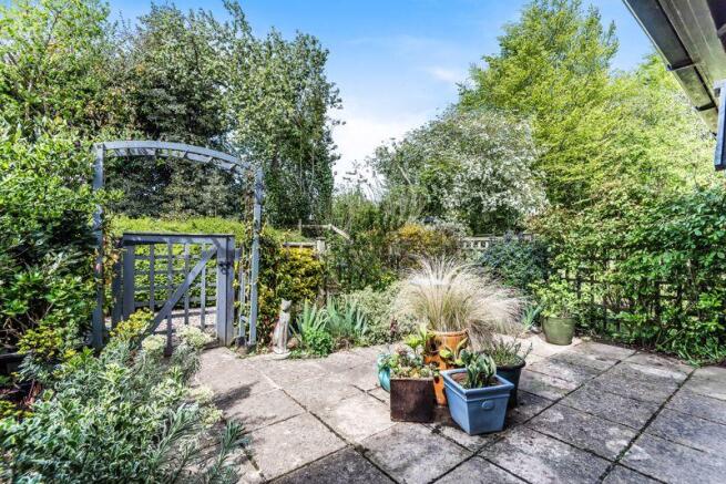Patio Garden