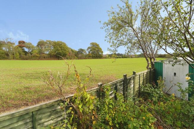 pbox-IMG.jpg