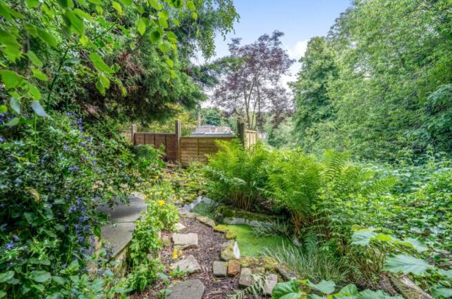 Back garden