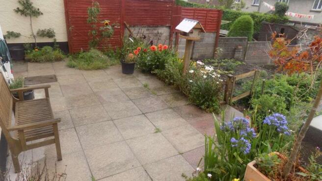 Photo 11
