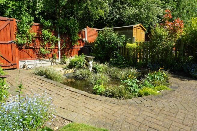 Pond