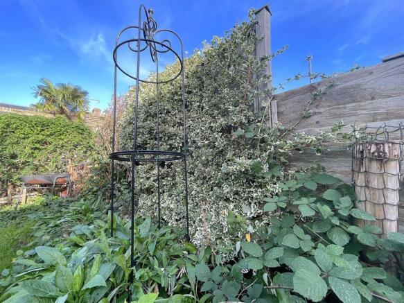 Garden (4).jpeg