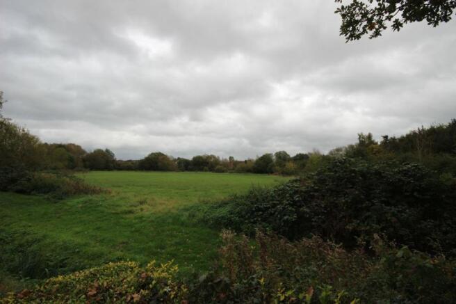 Nature reserve.JPG