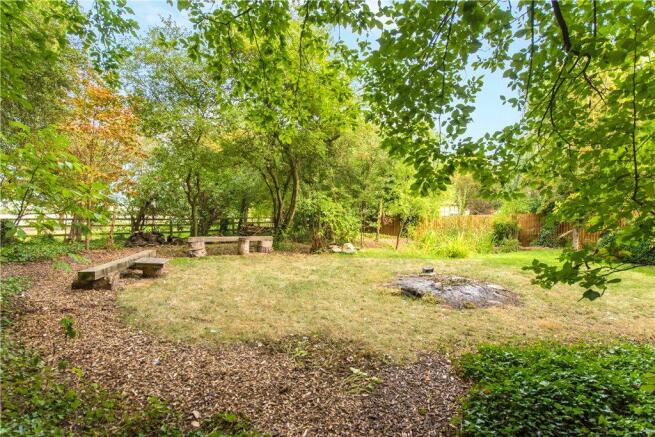 Wooded Area