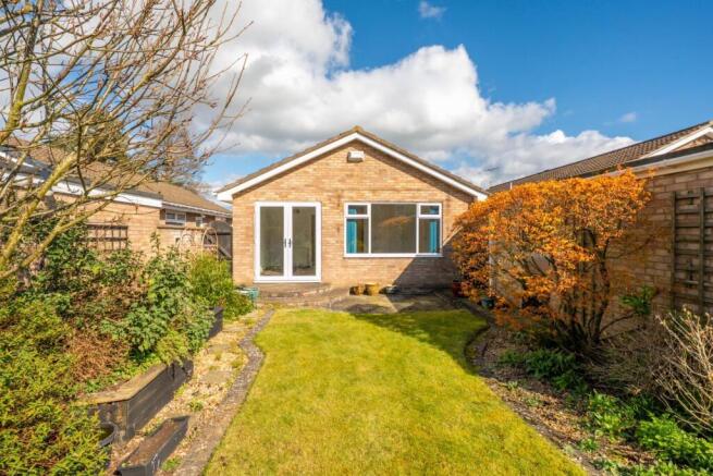DSC08299.jpg