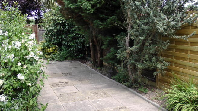 Photo 7