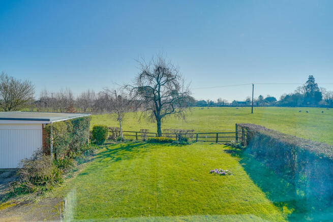 Field View