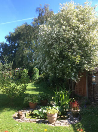 Photo 17