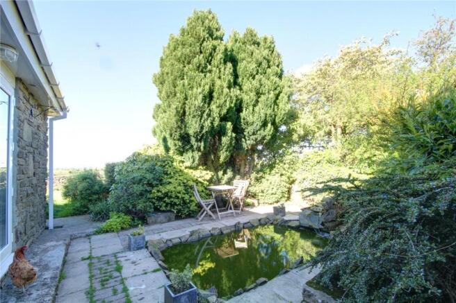 Pond