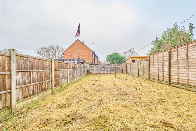 P1635293 T202601191708.jpg