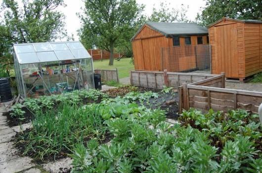 Vegetable plot