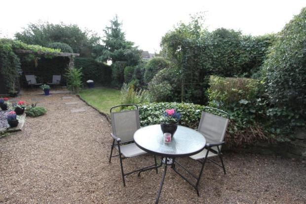 Garden 3