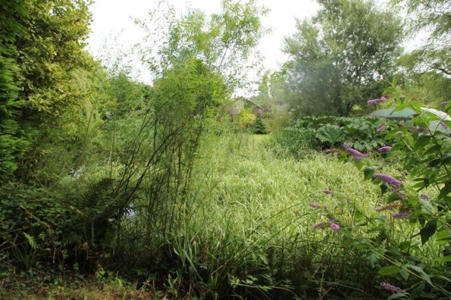 pond