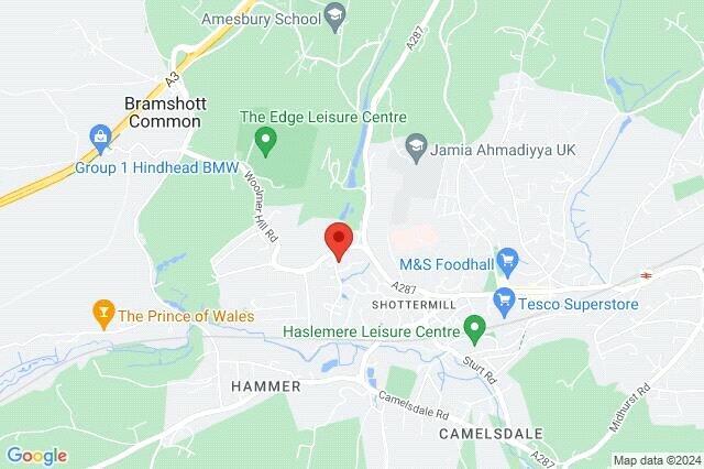 Google Maps Image