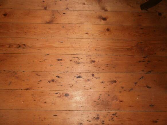 Feature floor...
