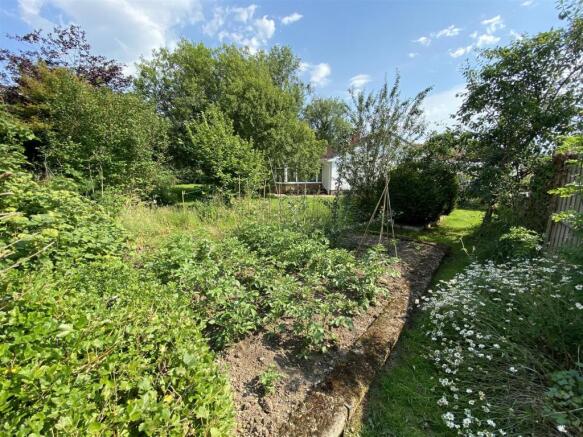 garden 2.JPG
