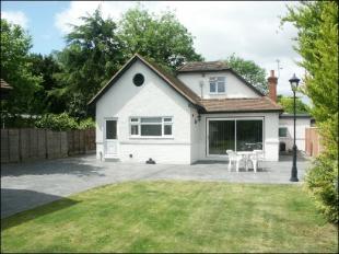 Rear Elevation