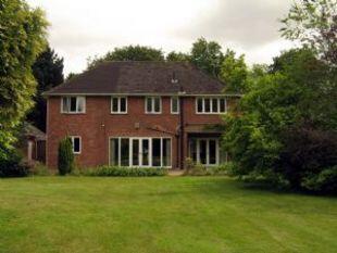 View of the Rear of