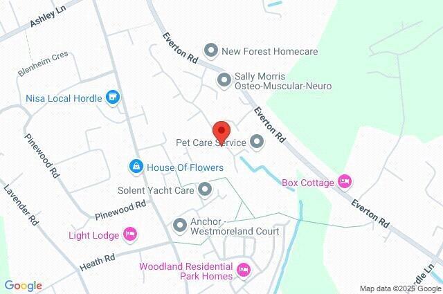 Google Maps Image