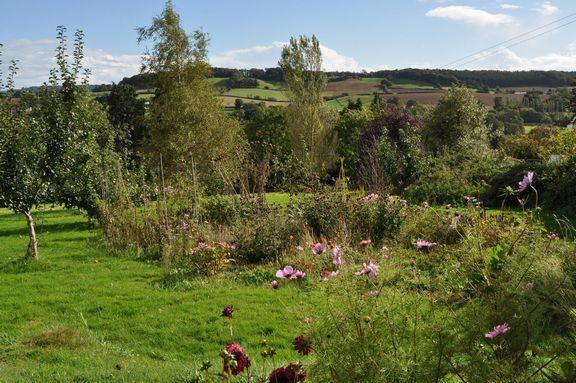 Garden and view