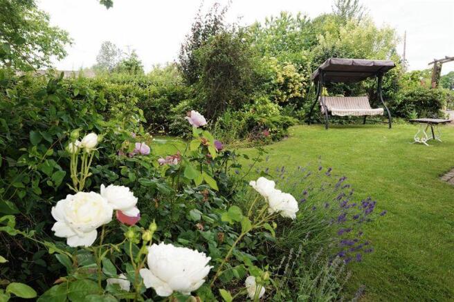 Garden 5