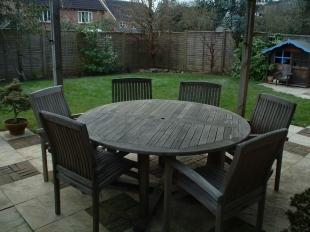 Garden Shot 1