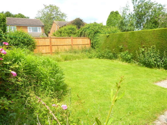 Photo 8