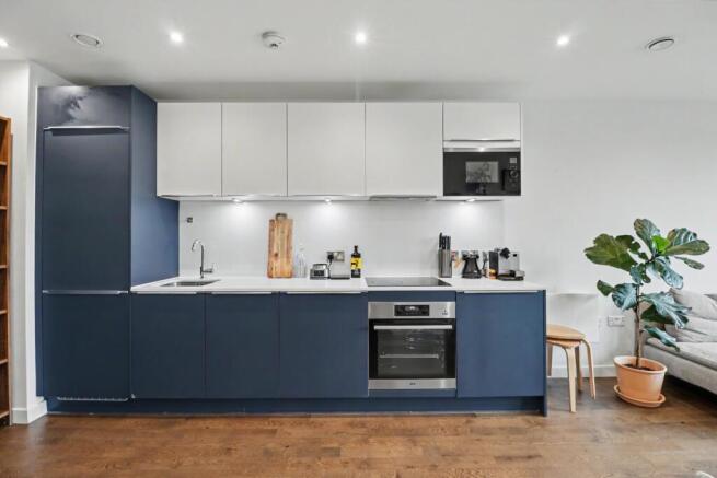 IMG_5249