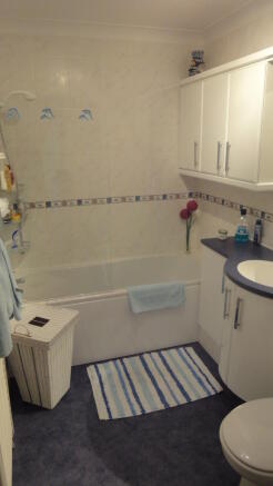 Photo 8