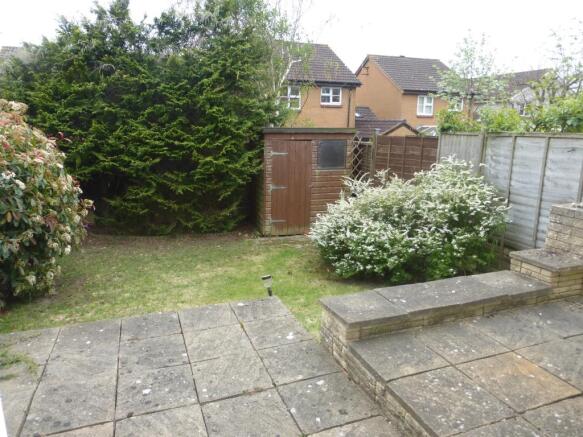 Photo 5