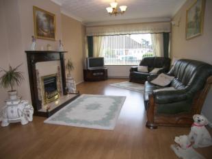 Picture No.03