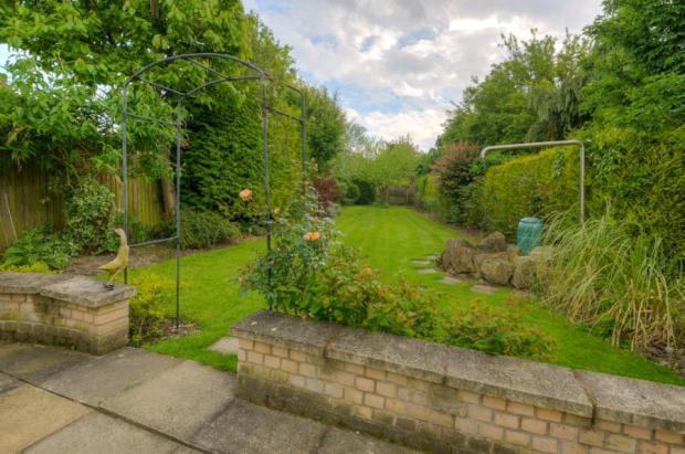 Picture No.18