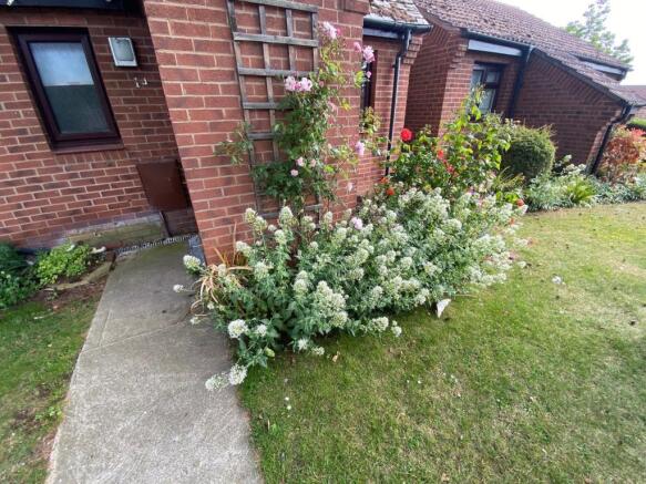 Photo 10