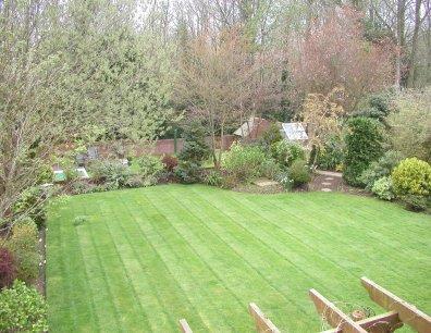 Garden from bedroom