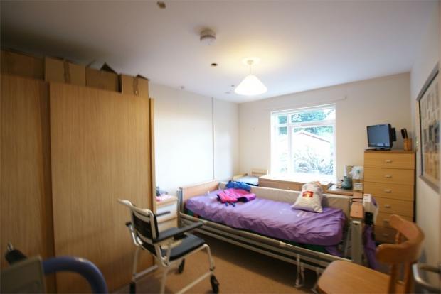 Photo 6