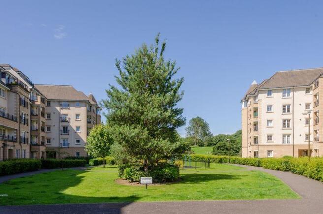 Shared Grounds