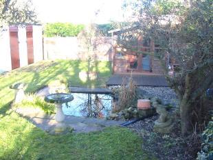 Pond area