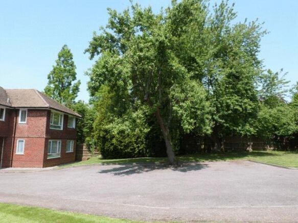 Photo 12