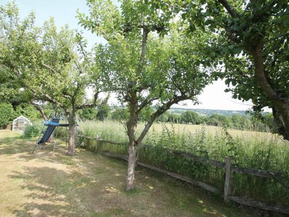 Photo44