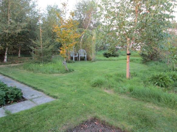 Photo 8