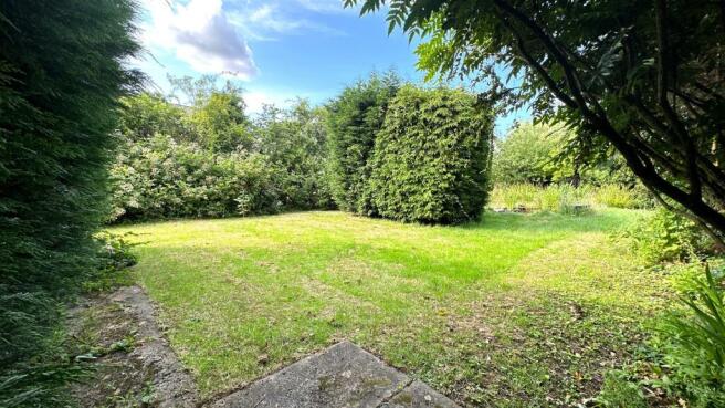 garden 5.JPG