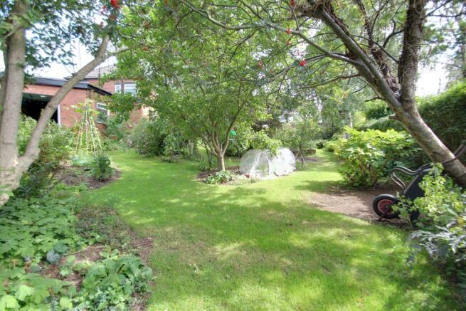 Garden at Back