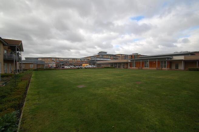 village green